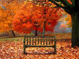 autunno panchina2